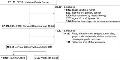 Conditional survival analysis and real-time prognosis prediction for cervical cancer patients below the age of 65 years